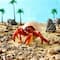 Safari Ltd® Hermit Crab